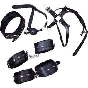 Black Faux Fur and Faux Leather Bondage Set NWT